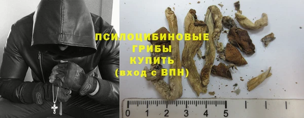 прущая мука Вязники
