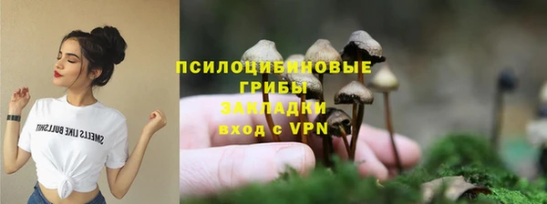 прущая мука Вязники