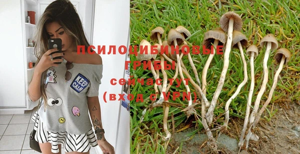 прущая мука Вязники